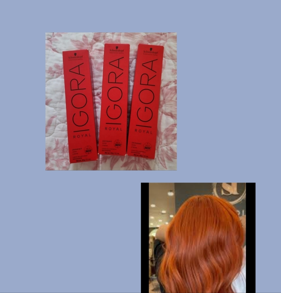 IGORA Copper Hair 7-77 ( 3 BOXES!)